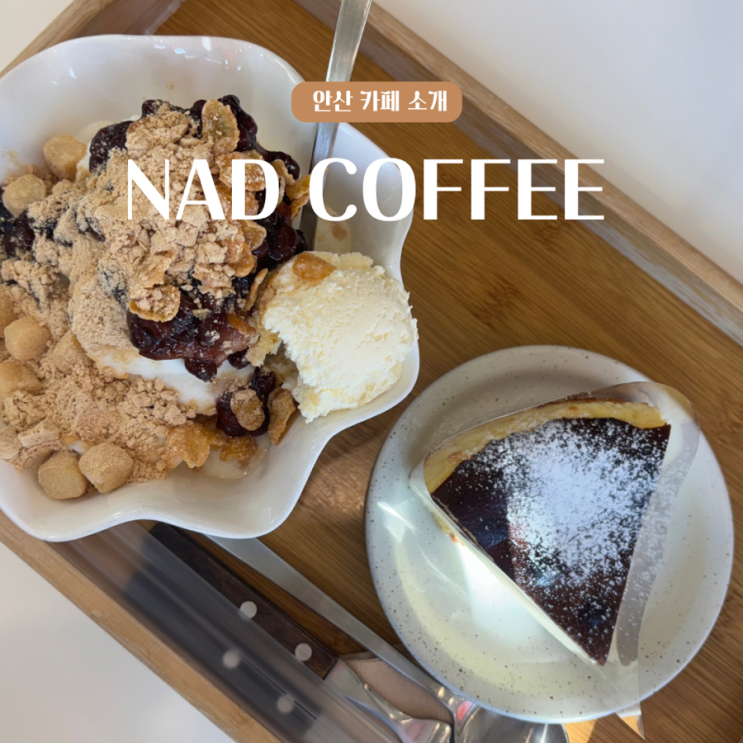  안산, 반려동물 동반 가능한 사동 디저트 카페 나드커피(NAD COFFEE)