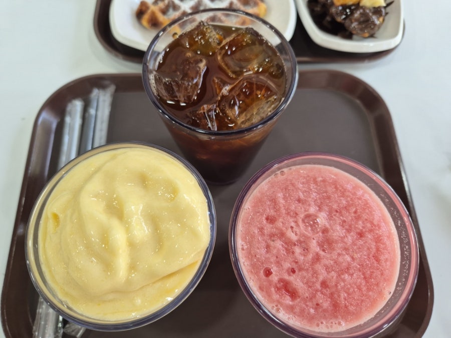 크로플덕오리아가씨 삼척점 사진 3