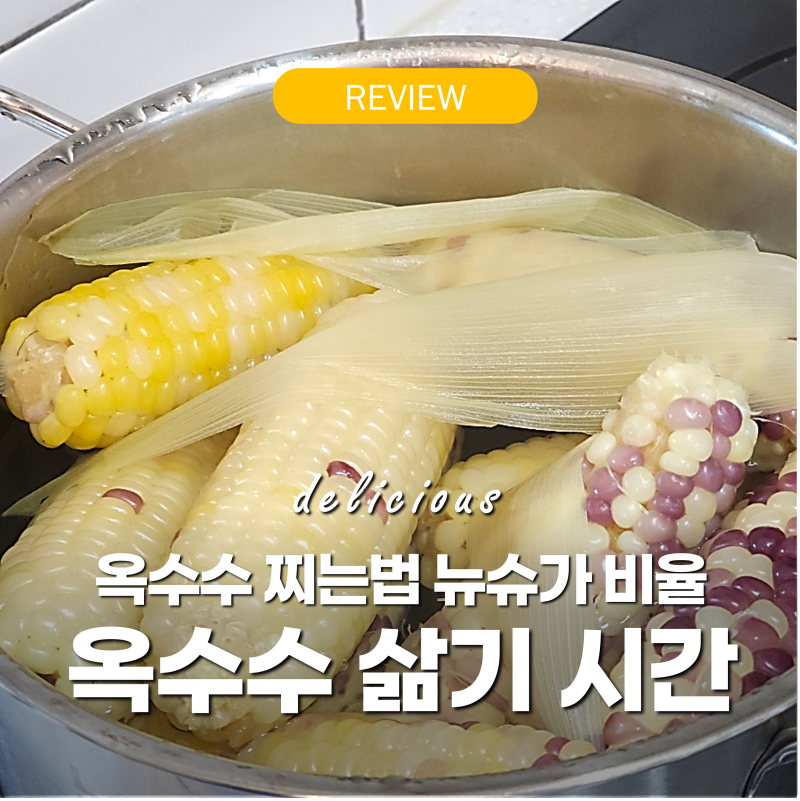 옥수수 삶기 방법 시간 설탕 대신 뉴슈가 비율 냄비 찌는 팁