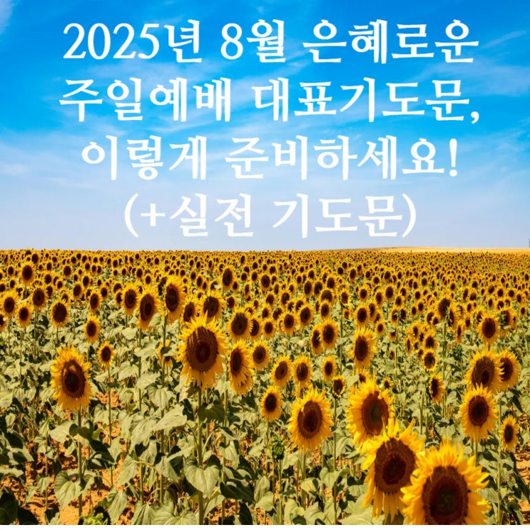  2025년 8월 은혜로운 주일예배 대표기도문, 이렇게 준비하세요! (+실전 기도문)