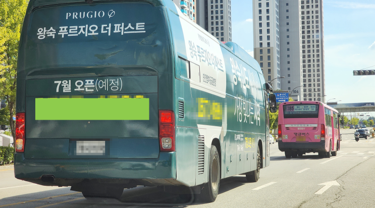  불법광고·사전청약 유도… 공공분양 '왕숙 푸르지오 더퍼스트' 홍보책임 도마 위