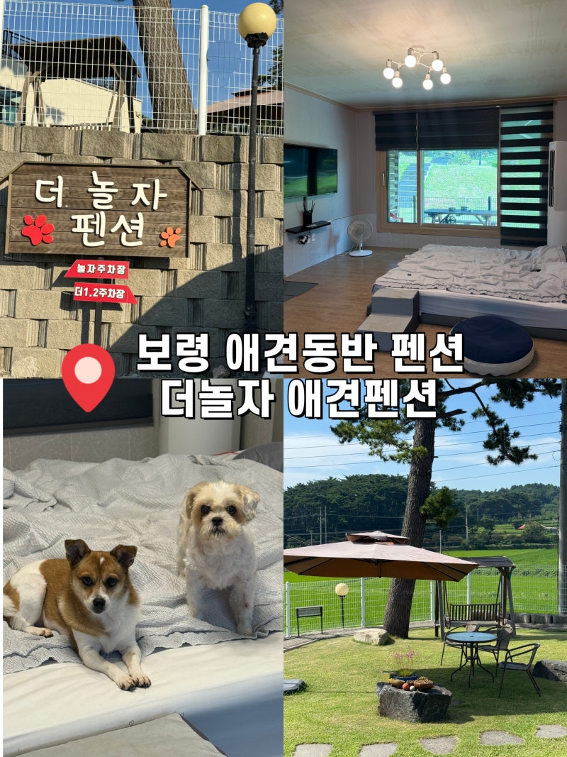 사진 6