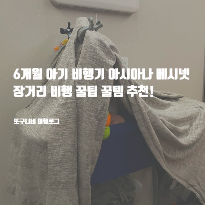  6개월 아기 비행기 아시아나 베시넷 좌석 장거리 비행 꿀팁 꿀템 추천! (미국 샌프란시스코 비행)