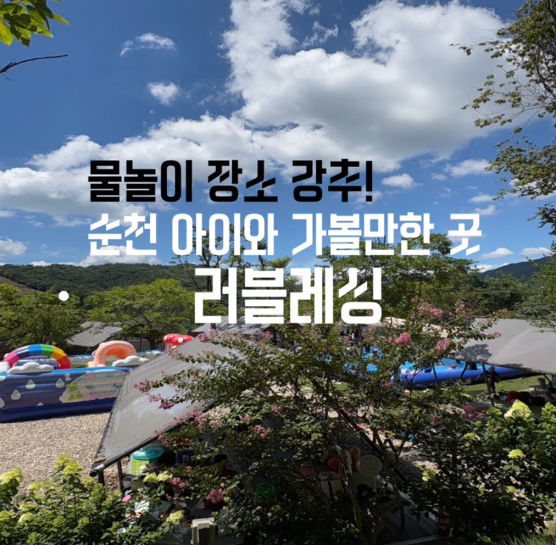 사진 6