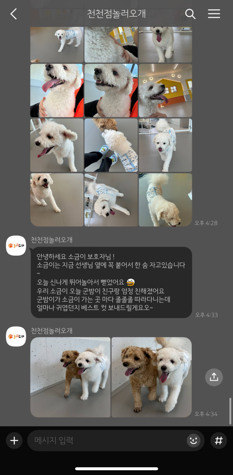 사진 2