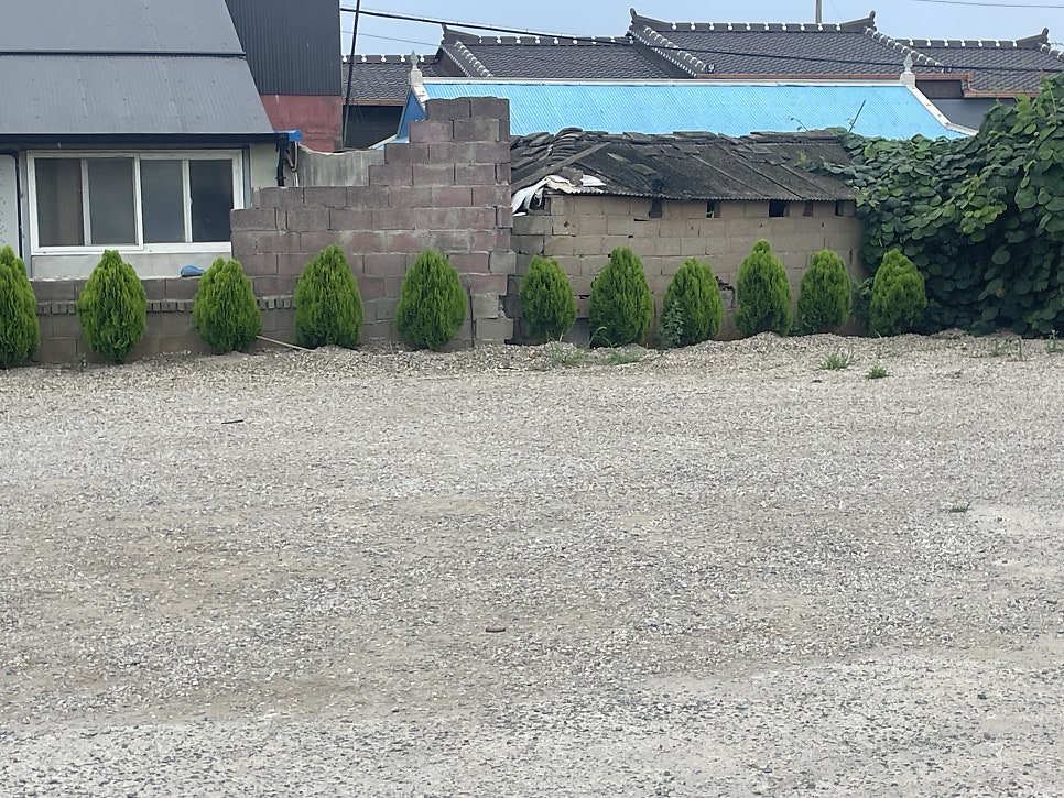 장원소머리국밥 사진 3