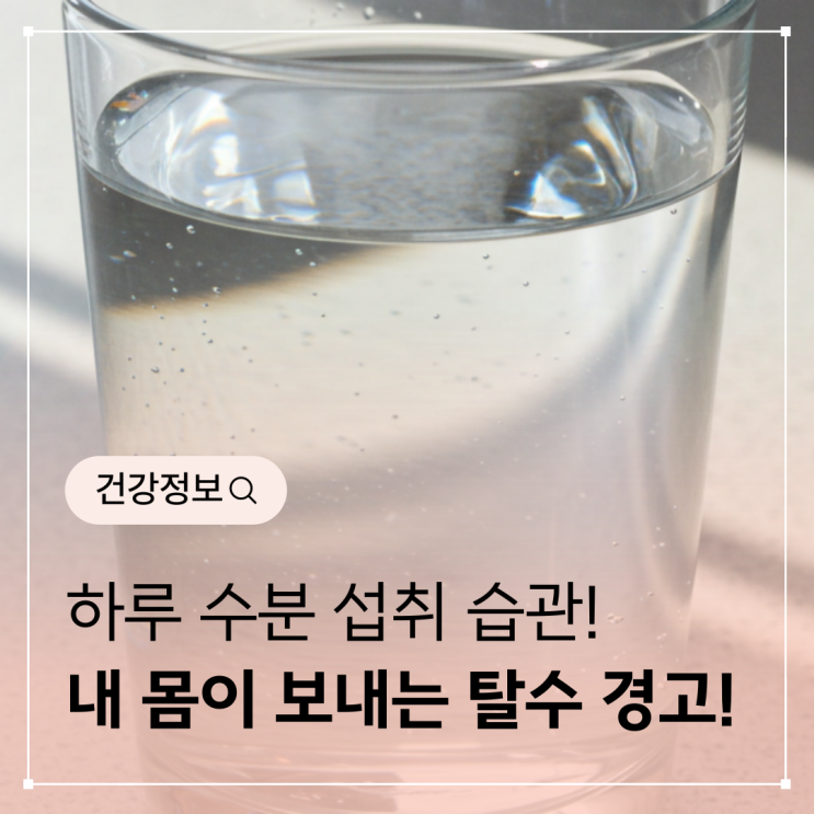  수분 부족 신호와 하루 수분 섭취 습관