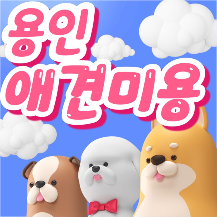  용인애견미용학원 가이드 – 실무 중심 커리큘럼