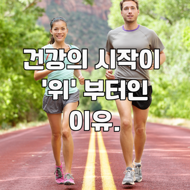  위 건강이 모든 해독의 첫걸음. 원인 부터 음식까지 과학적으로