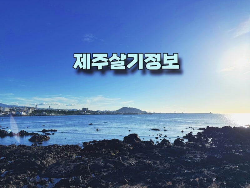 제주 분리수거 재활용도움센터 클린하우스 배출 요일 위치