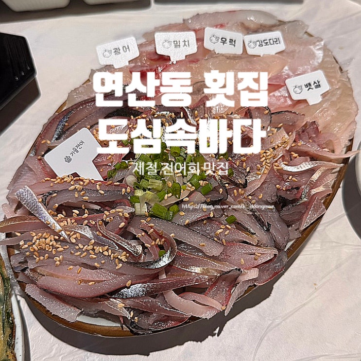  부산 연산동 횟집 도심속바다 연산본점 제철 전어회 맛집 내돈내산
