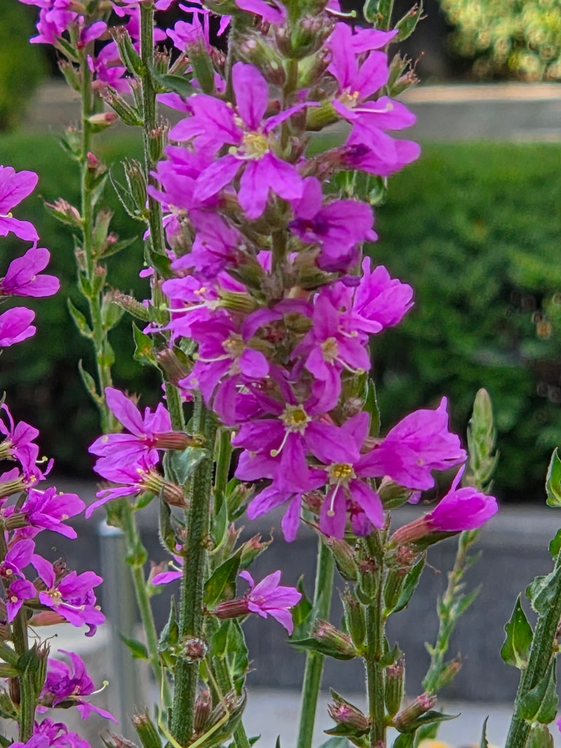 정책지식 2025.7.29. : 네이버 블로그