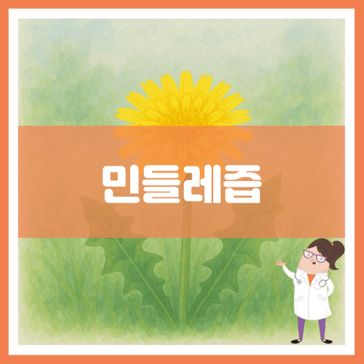  민들레즙 효능 섭취방법 부작용