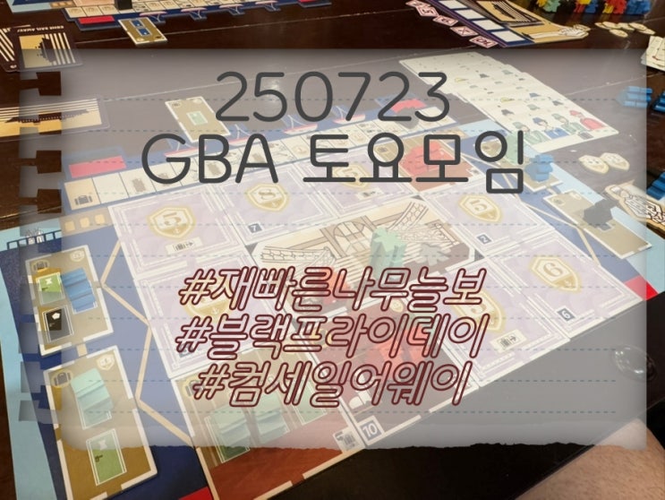  250723 GBA 수요정모 (재빠른 나무늘보, 블랙 프라이데이, 컴세일어웨이)