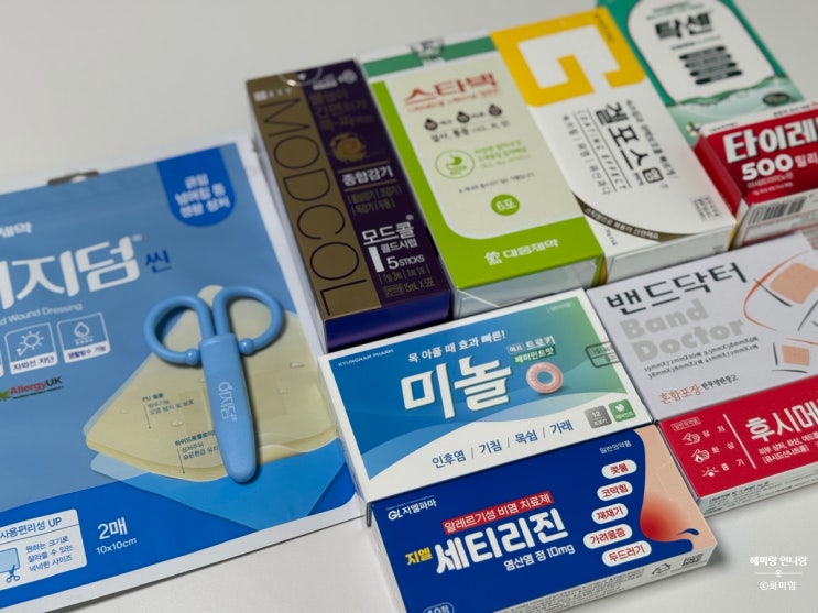  창고형약국 메가팩토리 자취생 상비약 추천 가격