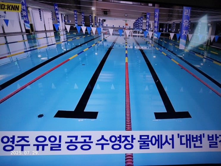 영주 실내수영장 대변테러 과연 고의일까ㅣ목욕탕청소가 가장 밑바닥 일