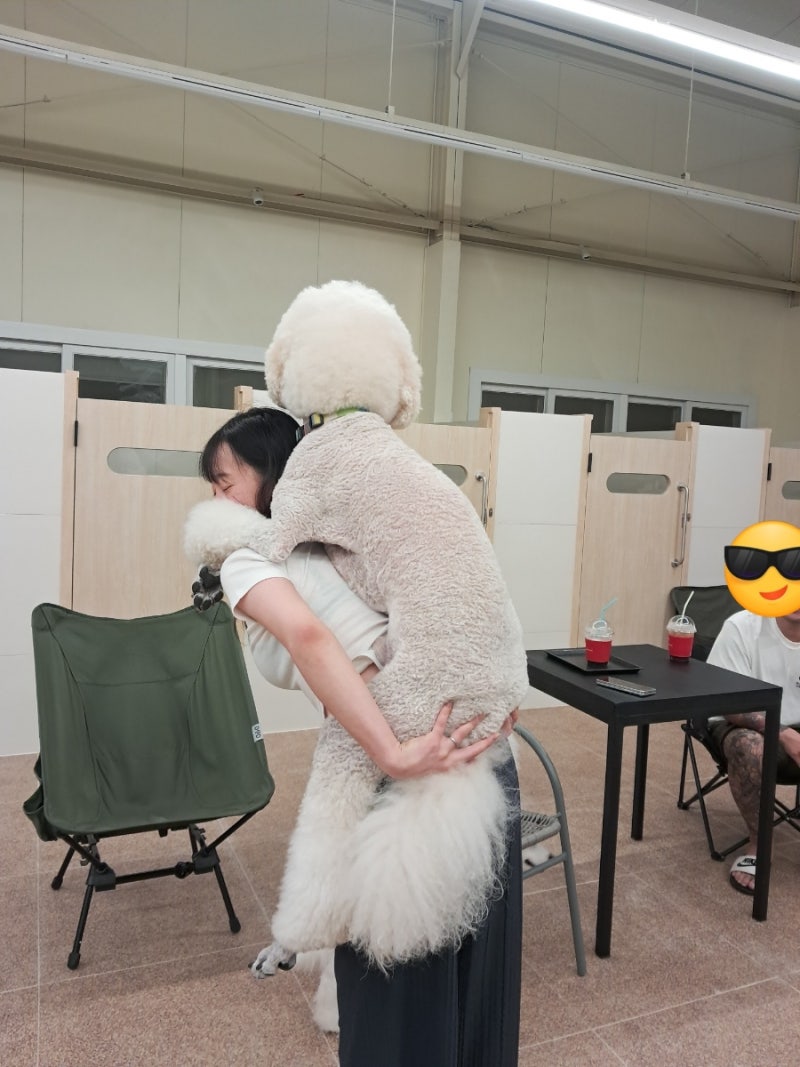 사진 2