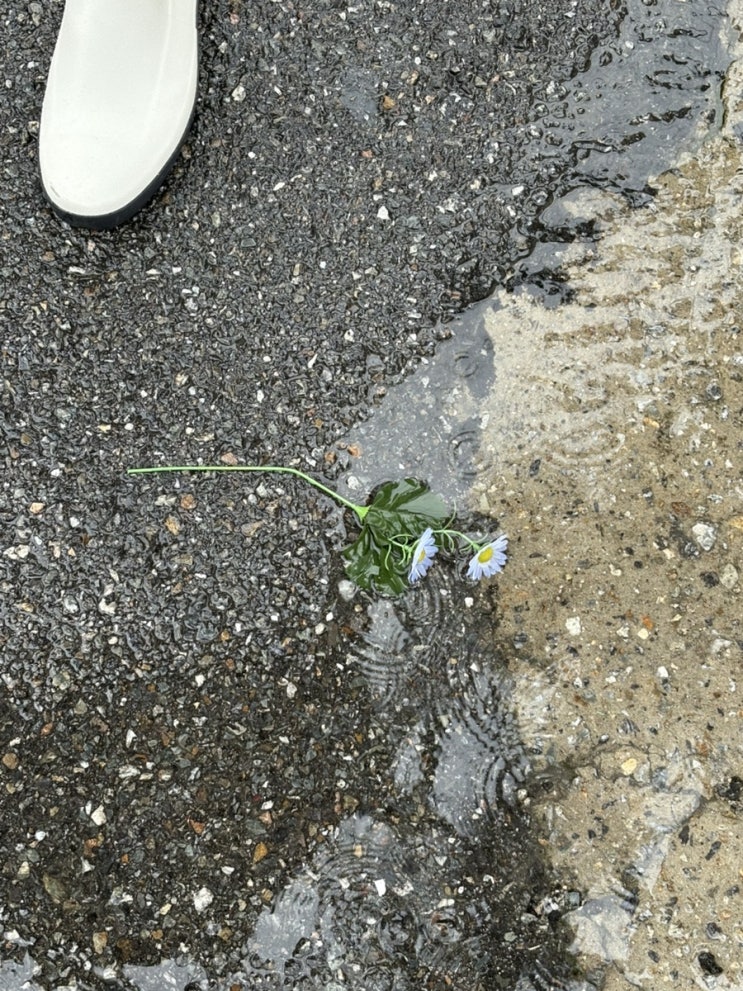  일상