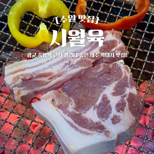  광교중앙역 고기집 시월육 제주 흑돼지 맛집 회식 데이트 추천