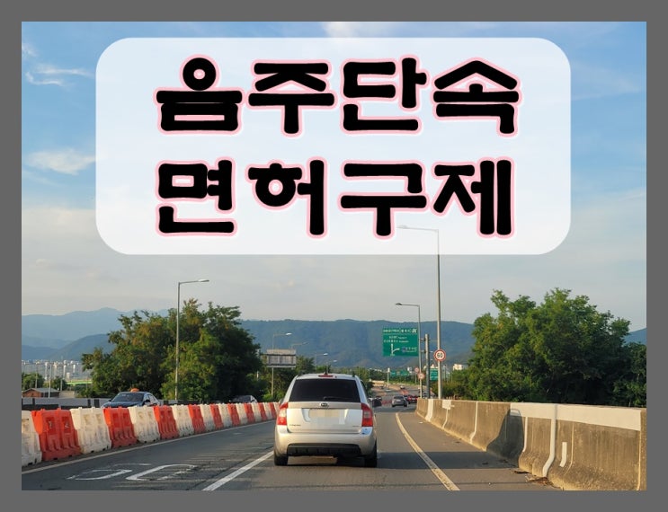  울산음주단속 생계형 운전자 면허 구제