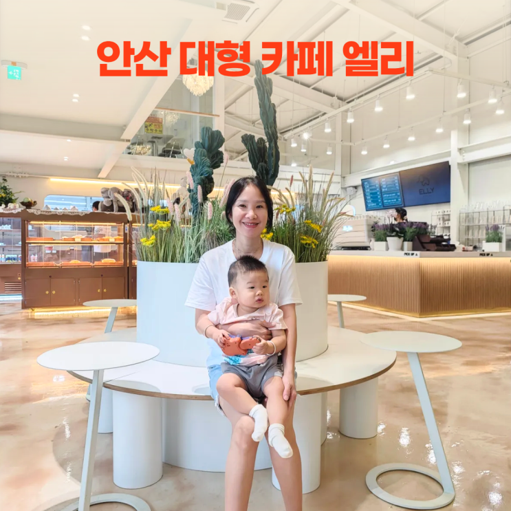  안산 대형 카페 엘리 아기와 재방문