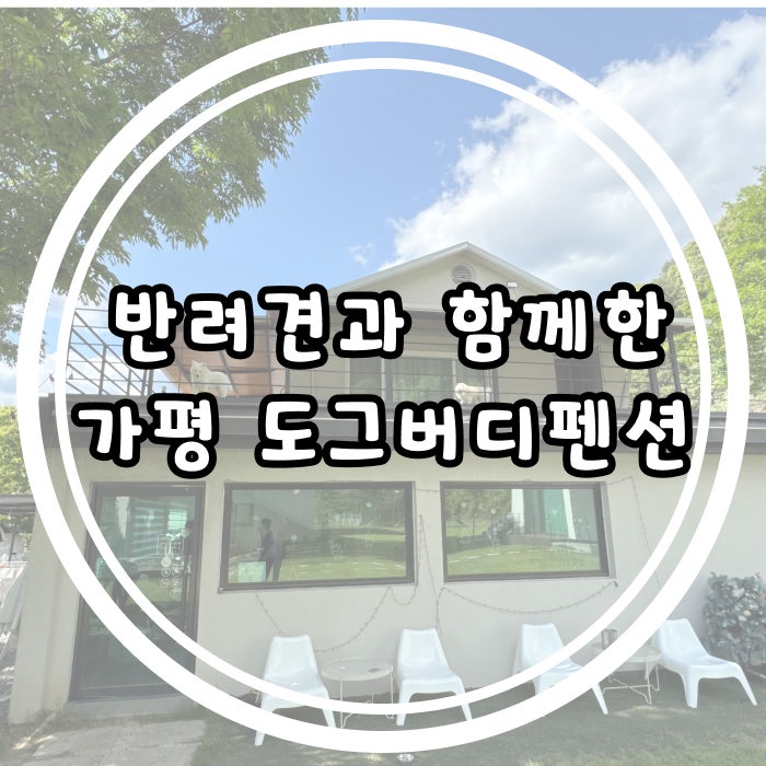 사진 3