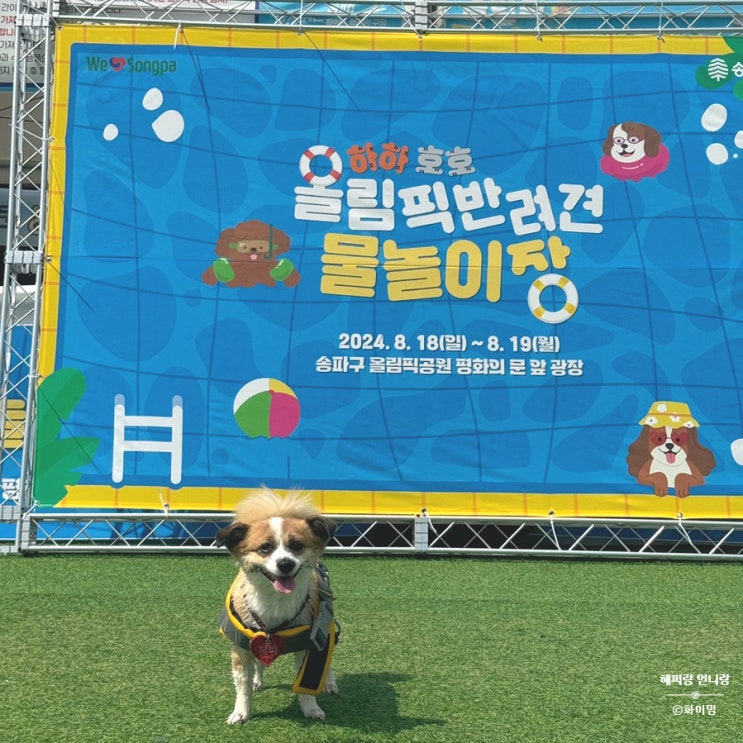  2025 송파구 하하호호 반려견 물놀이장, 서울 강아지 수영장 신청방법