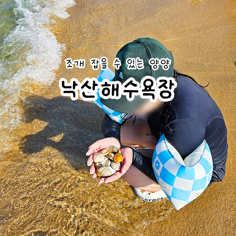 강원도 양양 낙산해수욕장 놀거리 샤워장 및 조개 잡는 꿀팁