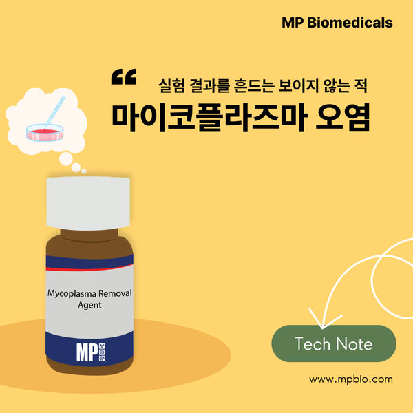  [Tech Note] 오염된 Cell Culture, Tissue 또는 제품에서의 Mycoplasma 제거