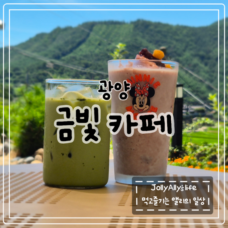 사진 5