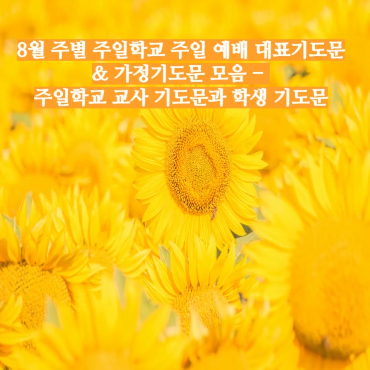  8월 주별 주일학교 주일 예배 대표기도문 & 가정기도문 모음 -  주일학교 교사 기도문과 학생 기도문