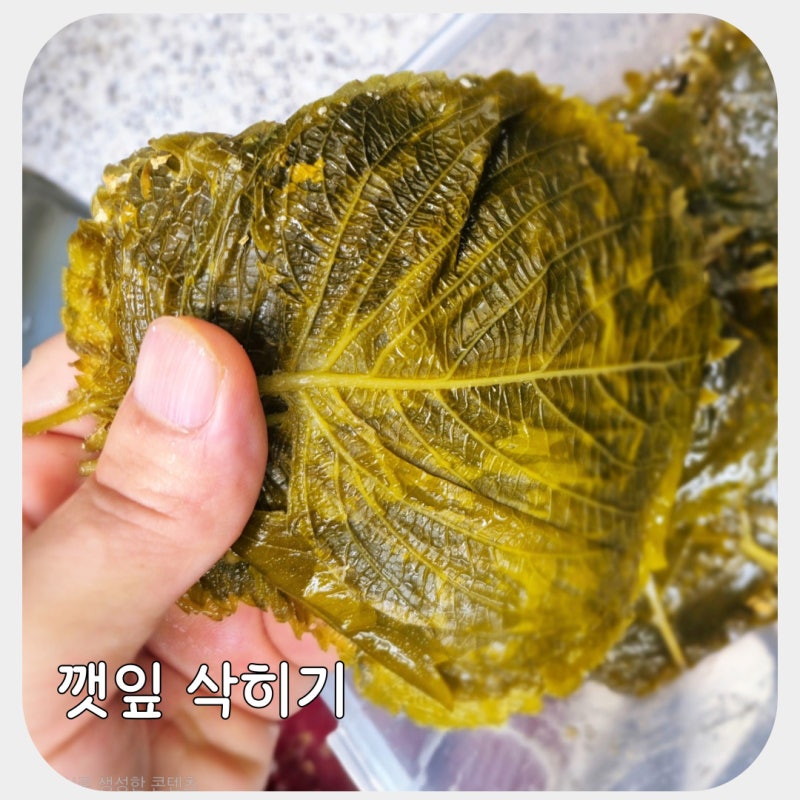 초보도 쉽게 따라하는 깻잎 삭히기 깻잎 삭히는 법 삭힌깻잎장아찌 활용