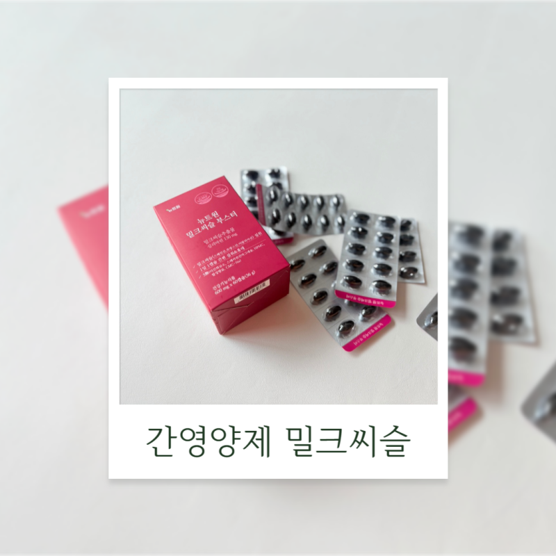 뉴트원 밀크씨슬부스터 30대 간건강 간에좋은영양제 추천