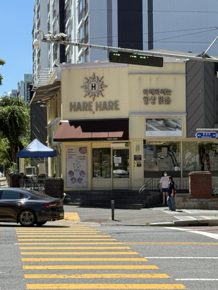  대전 빵집 하레하레 둔산점 | 풍자가 극찬한 빵 맛집 직접 가봤어요!