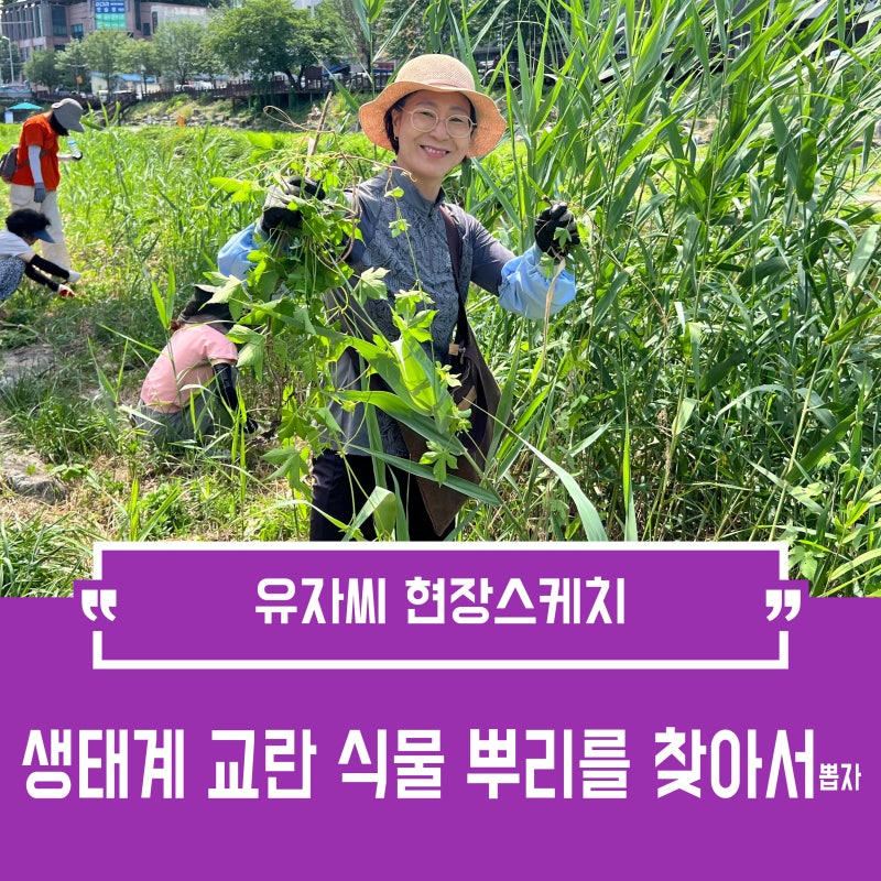 사진 5
