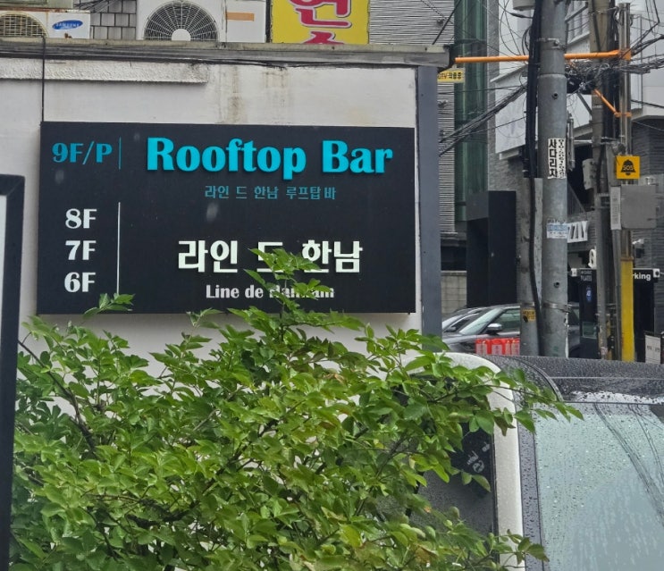  분위기까지 완벽한 한남동파스타맛집, 라인 드 한남 후기 !!