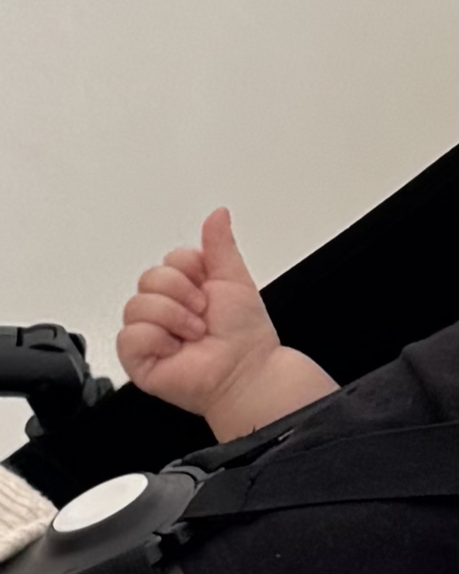 에어몬2 통풍시트 프리미엄 부가부 버터플라이