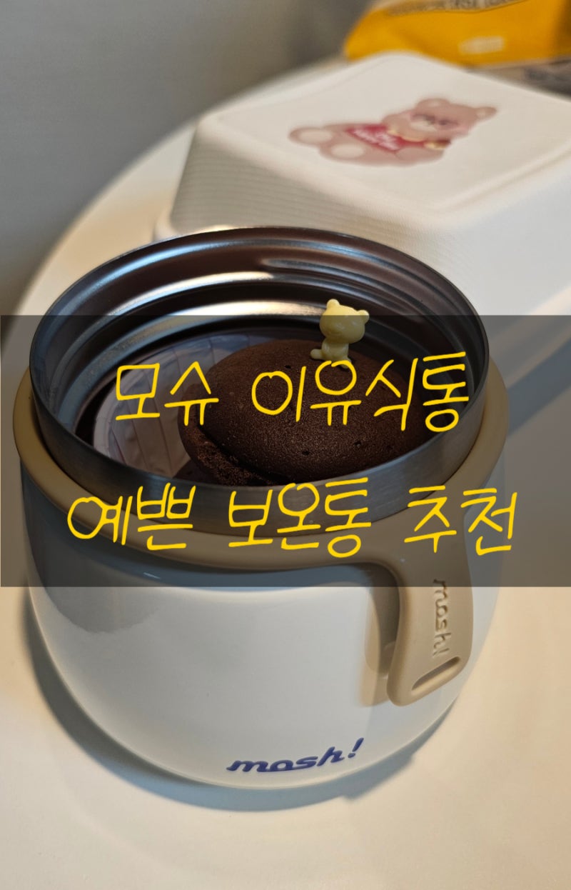 모슈 푸드자 이유식 보온통 죽통 예쁜 이유식통 300