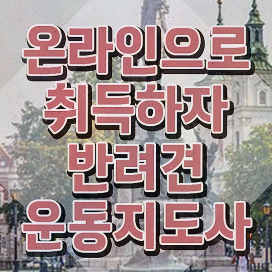  반려견운동지도사 특강 , 반려견운동지도사 취득한 노하우 , 학습방법