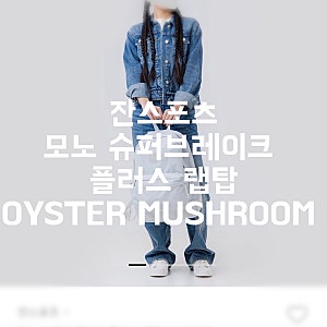 잔스포츠 모노 슈퍼브레이크 플러스 랩탑 백팩