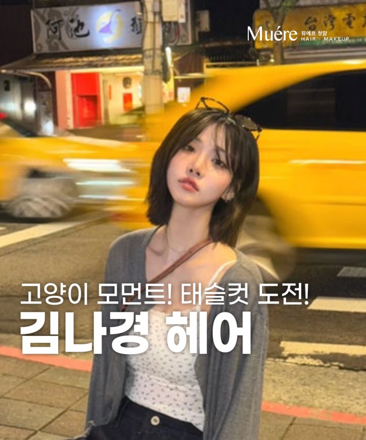  김나경 헤어, 태슬컷의 매력을 압구정로데오역 미용실이 알려드립니다