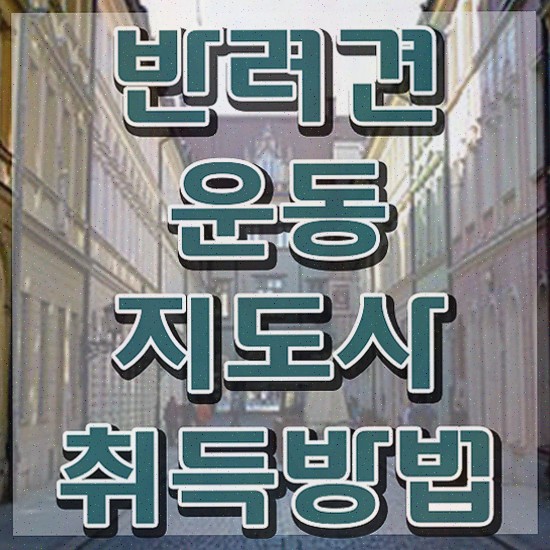  , 타로상담전문가 타로상담전문가 취득한 방법 및 향후전망