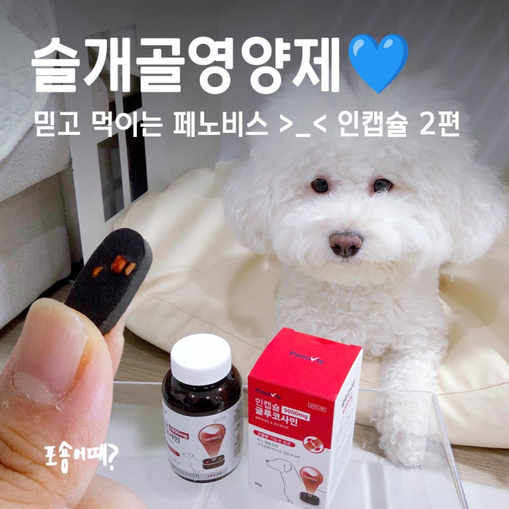  강아지관절영양제 고르는 팁, 글루코사민영양제 페노비스 인캡슐