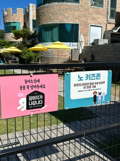 사진 8