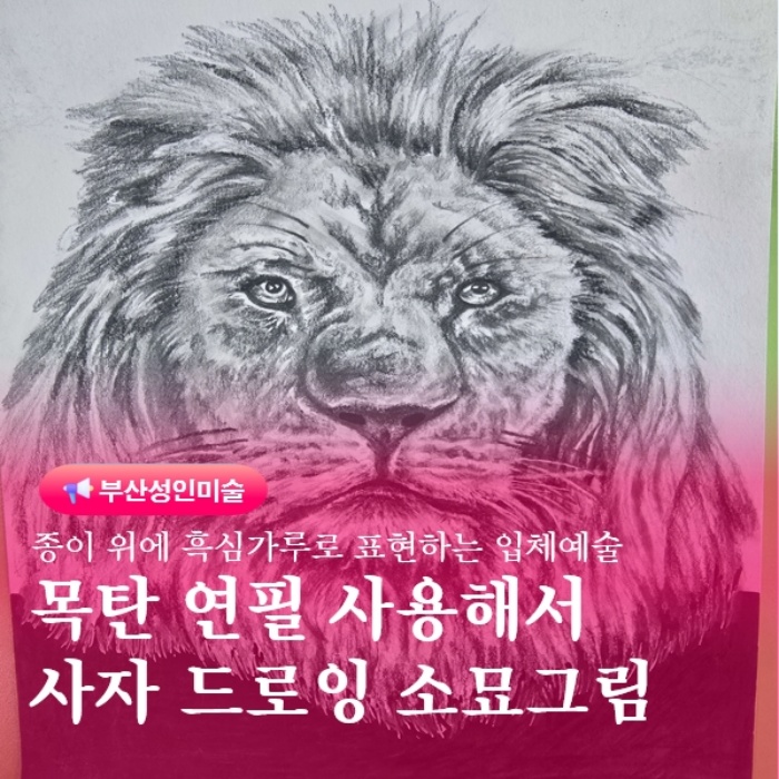  부산성인미술교육 연필드로잉배우기 사자 그림