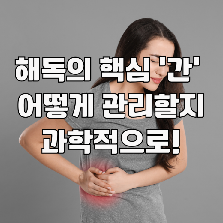  건강의 핵심, 간 해독: 과학적으로 영양제부터 음식, 주스까지!