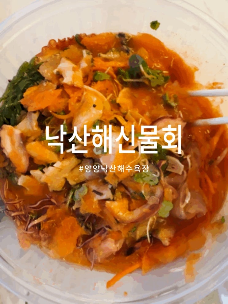  양양 낙산해수욕장 현지인도 극찬한 오징어 물회 맛집 낙산해신물회 솔직후기
