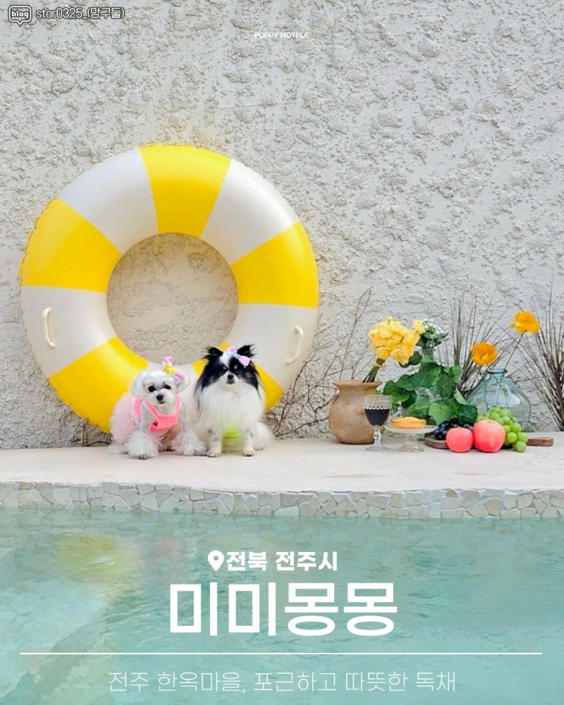 사진 2