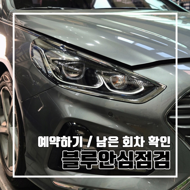  마이현대로 블루안심점검 예약부터 남은 회차 확인까지 l 블루기본점검 현대차