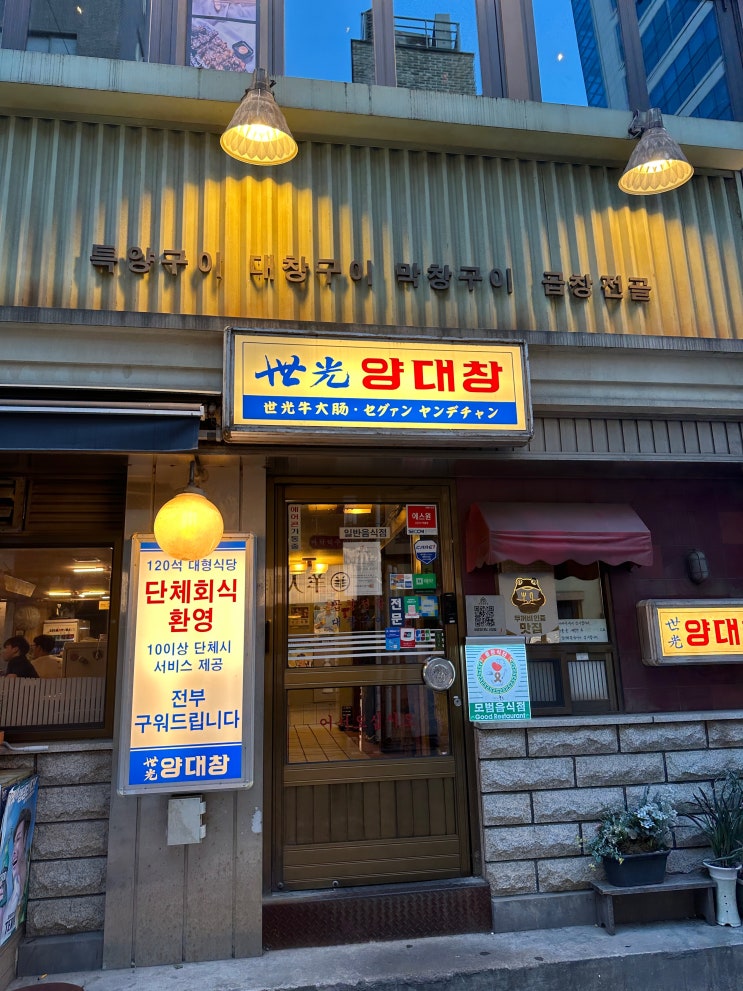  시청맛집 세광양대창 단체 회식장소 추천 후기